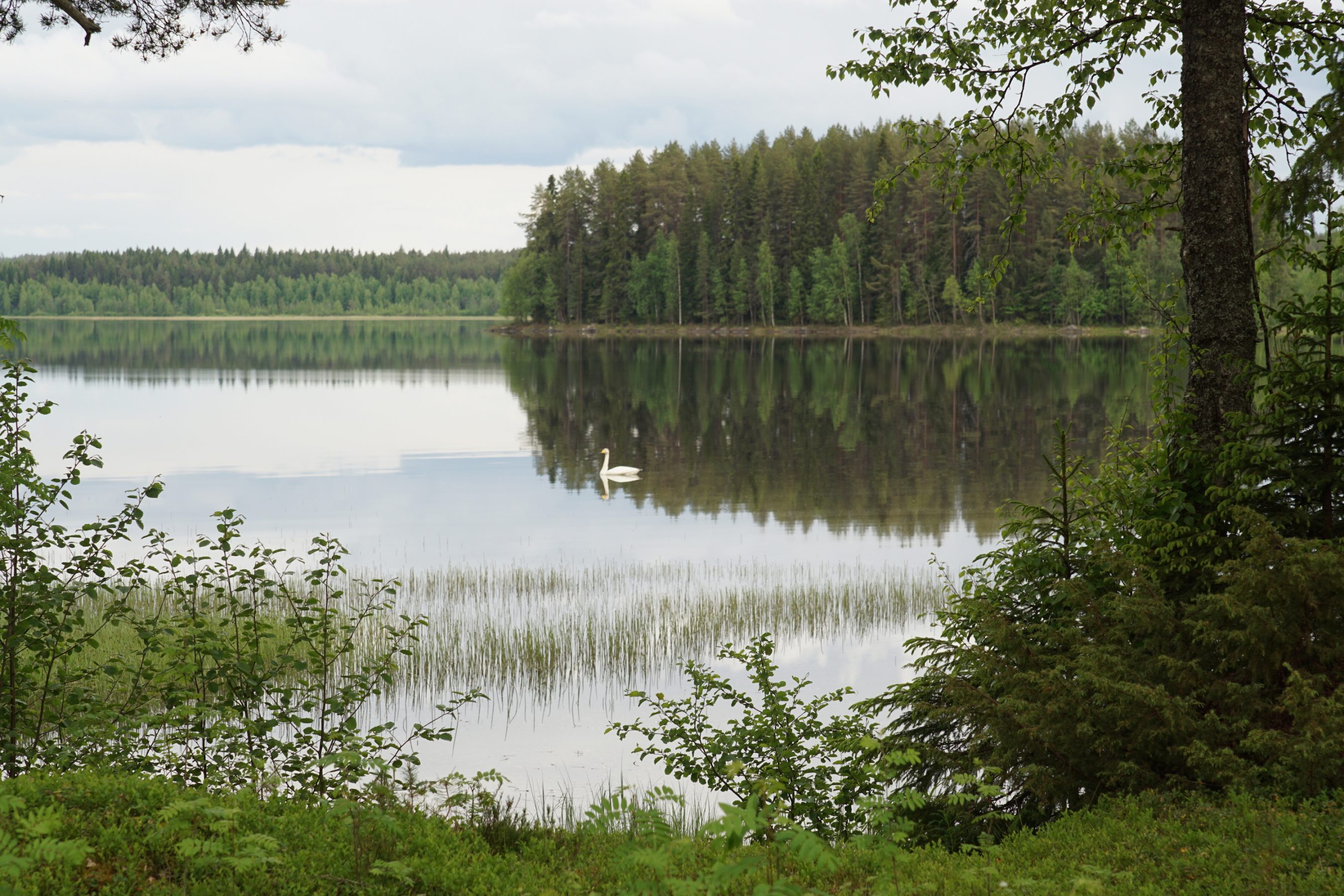 Lake seen from the sauna